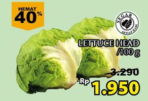 Promo Harga Lettuce Sayur per 100 gr - Giant