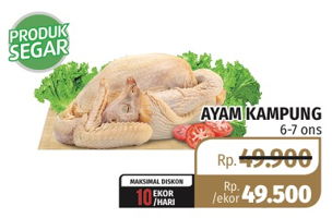 Promo Harga Ayam Kampung - Lotte Grosir