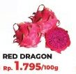 Promo Harga Buah Naga Merah per 100 gr - Yogya