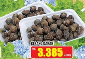 Promo Harga Kerang Darah per 100 gr - Hari Hari