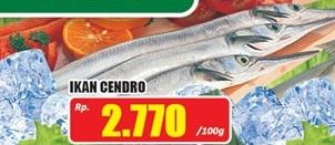 Promo Harga Ikan Cendro per 100 gr - Hari Hari