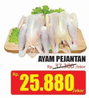 Promo Harga Ayam Pejantan - Hari Hari