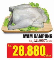 Promo Harga Ayam Kampung - Hari Hari